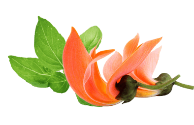 Istock